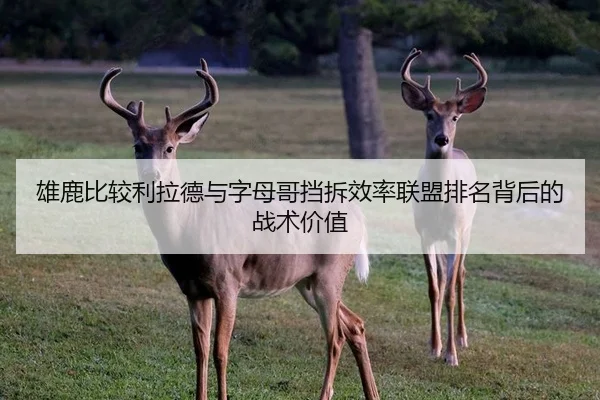 雄鹿比较利拉德与字母哥挡拆效率联盟排名背后的战术价值