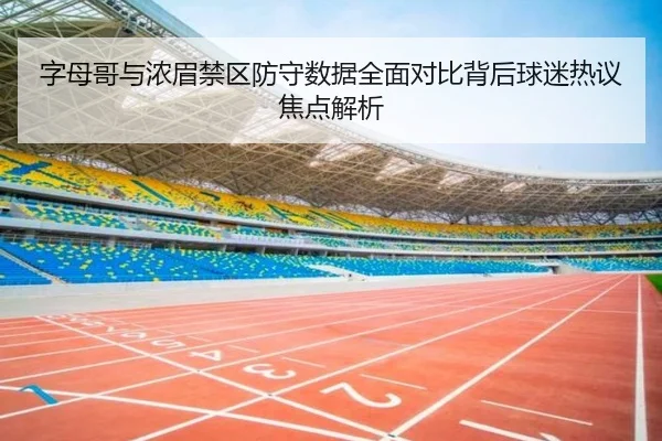 字母哥与浓眉禁区防守数据全面对比背后球迷热议焦点解析